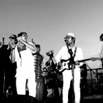 fools_gold_1 fools_gold_1