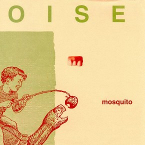 mosquito